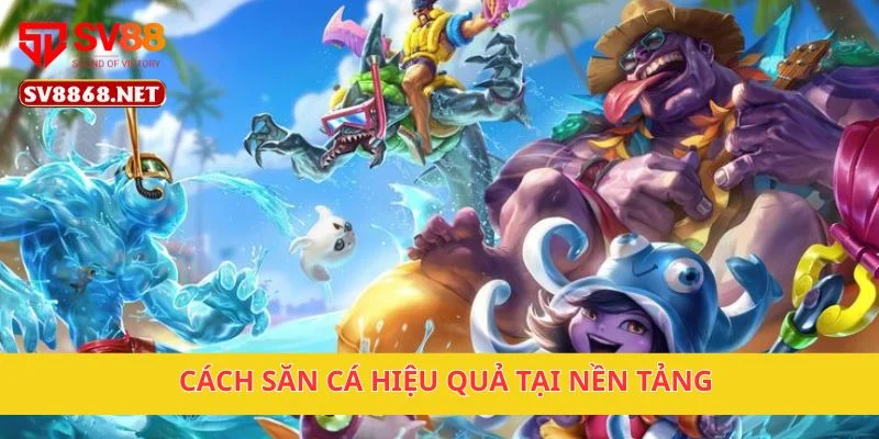 Cách săn cá hiệu quả tại nền tảng