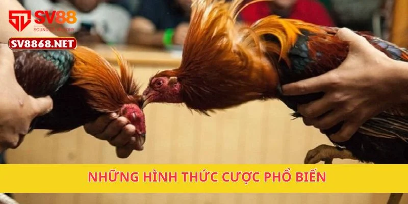 Những hình thức cược phổ biến