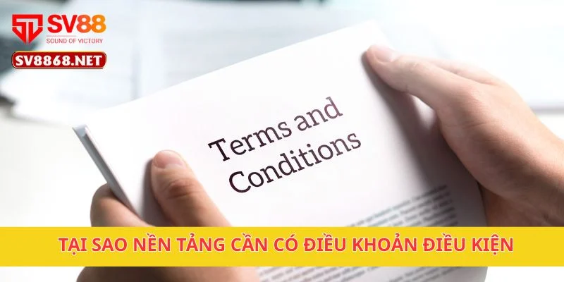 Tại sao nền tảng cần có điều khoản điều kiện