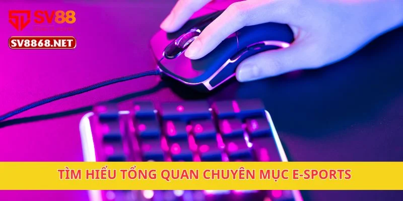Tìm hiểu tổng quan chuyên mục E-sports