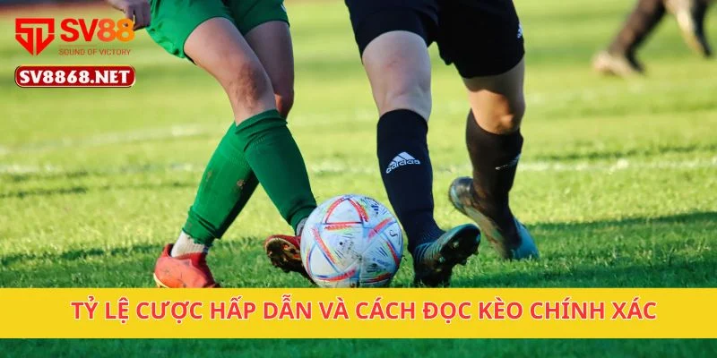 Tỷ lệ cược hấp dẫn và cách đọc kèo chính xác