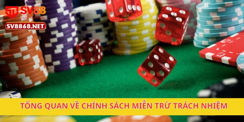 Tổng quan về chính sách miễn trừ trách nhiệm